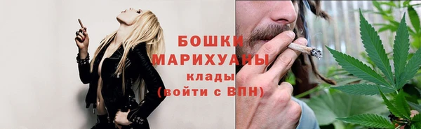 PSILOCYBIN Аркадак